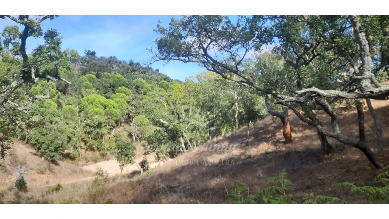 Terreno Agricola ou Rústico para Venda em São Francisco da Serra Foto 9