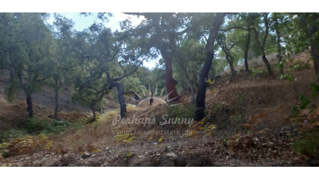 Terreno Agricola ou Rústico para Venda em São Francisco da Serra Foto 10