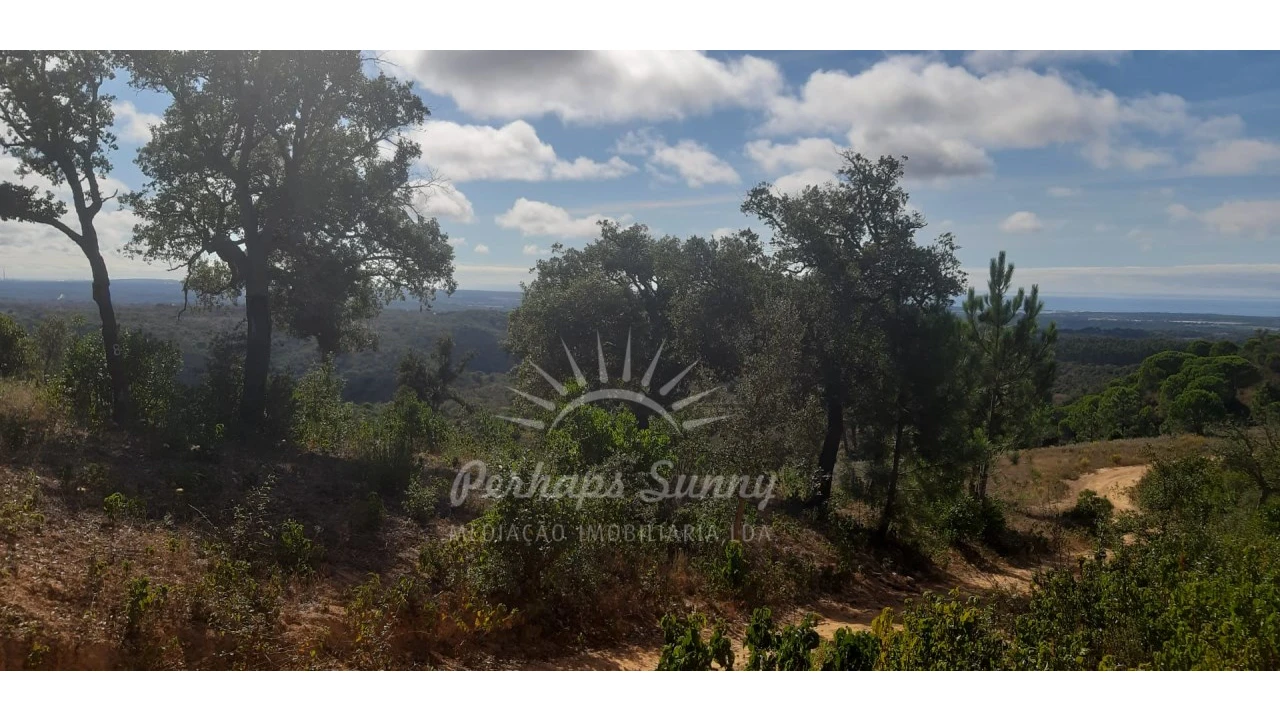 Terreno Agricola ou Rústico para Venda em São Francisco da Serra Foto 13