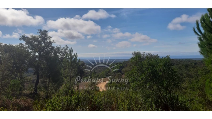 Terreno Agricola ou Rústico para Venda em São Francisco da Serra Foto 3