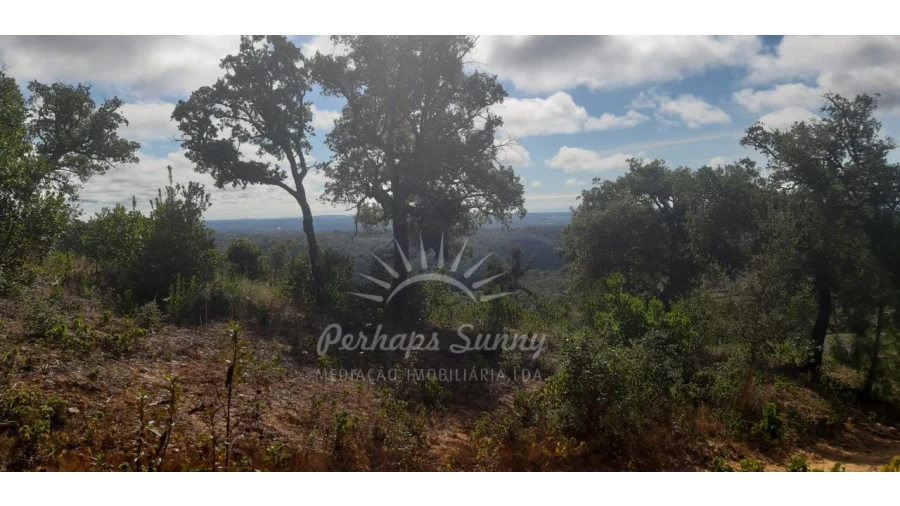 Terreno Agricola ou Rústico para Venda em São Francisco da Serra Foto 14