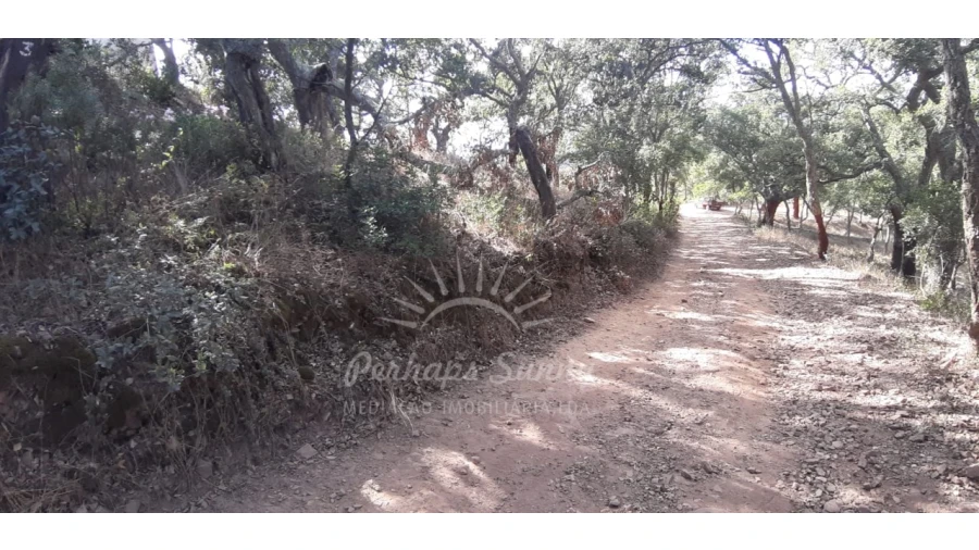 Terreno Agricola ou Rústico para Venda em São Francisco da Serra Foto 16