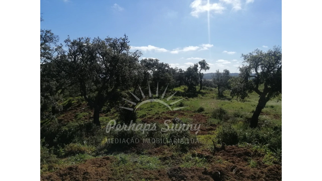 Terreno Misto para Venda em Grândola e Santa Margarida da Serra Foto 2