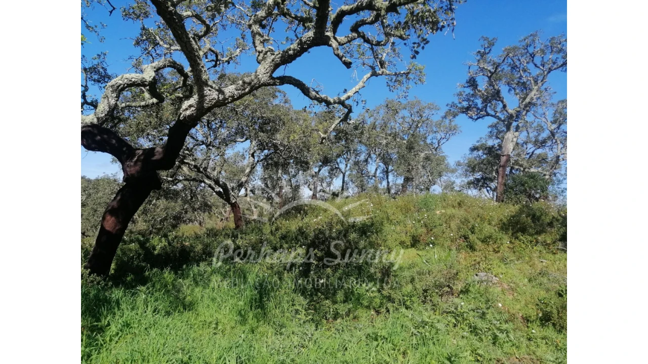 Terreno Misto para Venda em Grândola e Santa Margarida da Serra Foto 10