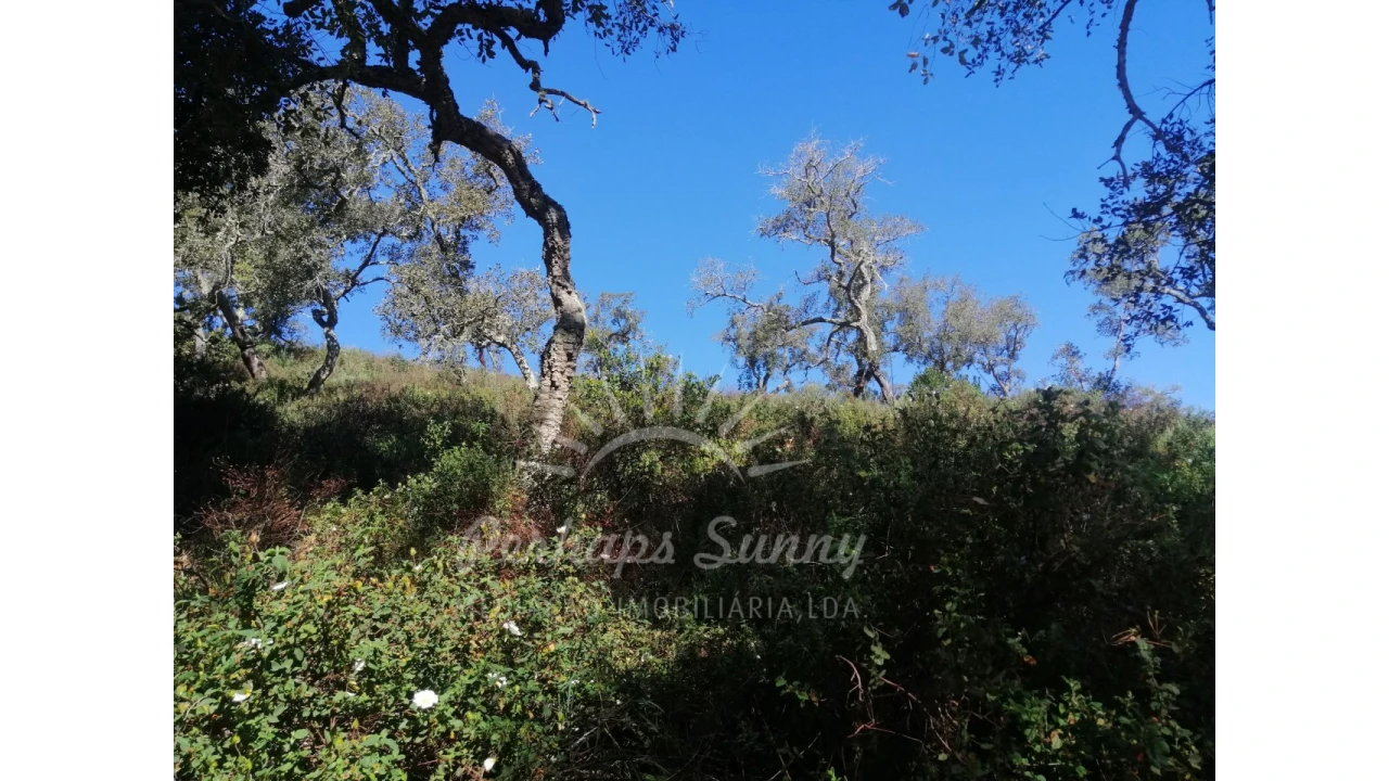 Terreno Misto para Venda em Grândola e Santa Margarida da Serra Foto 13