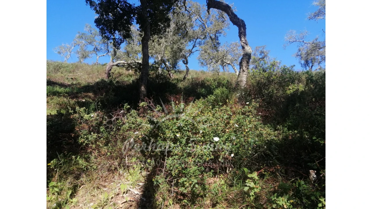 Terreno Misto para Venda em Grândola e Santa Margarida da Serra Foto 14