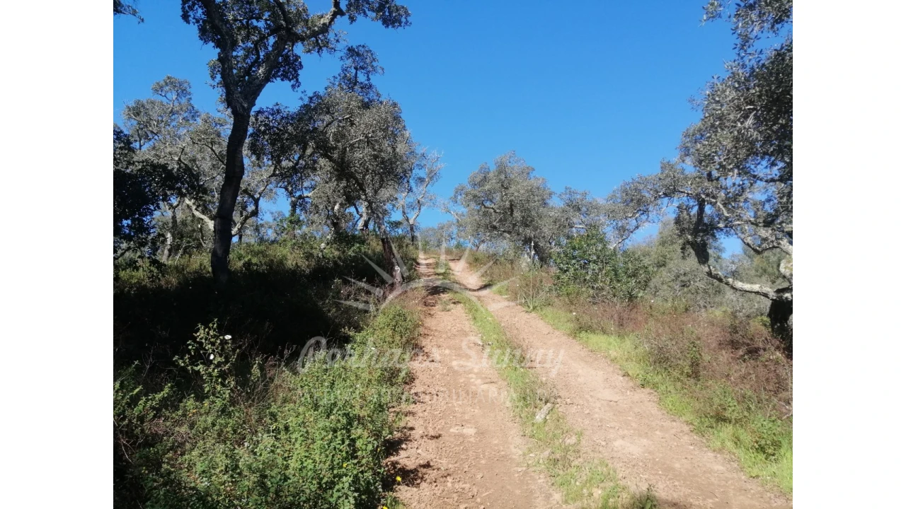 Terreno Misto para Venda em Grândola e Santa Margarida da Serra Foto 15