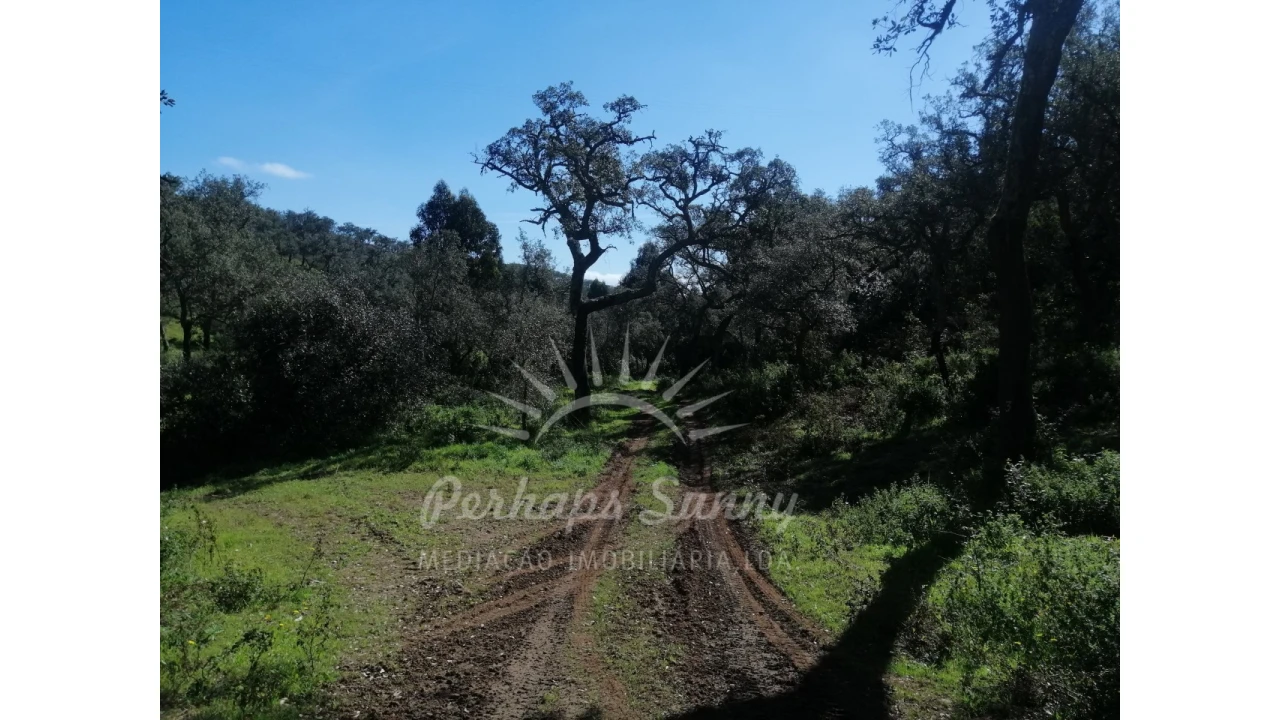 Terreno Misto para Venda em Grândola e Santa Margarida da Serra Foto 17