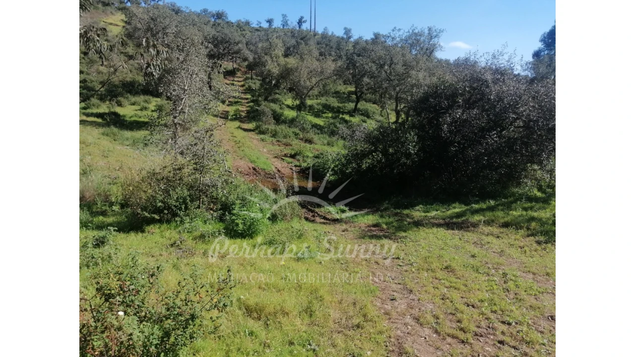 Terreno Misto para Venda em Grândola e Santa Margarida da Serra Foto 18