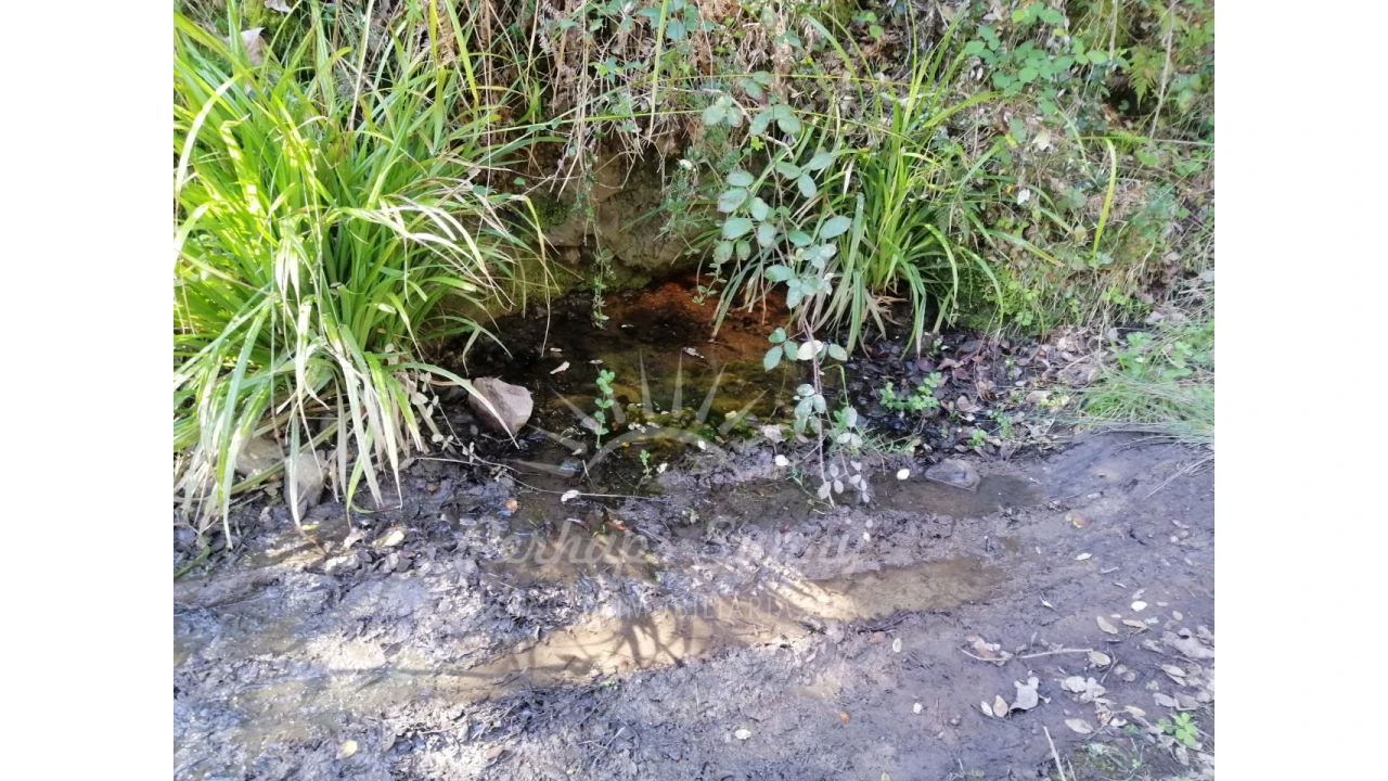 Terreno Misto para Venda em Grândola e Santa Margarida da Serra Foto 3