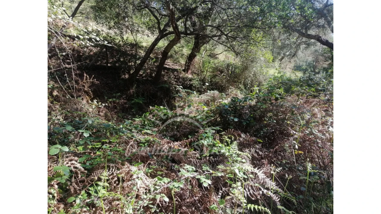 Terreno Misto para Venda em Grândola e Santa Margarida da Serra Foto 21