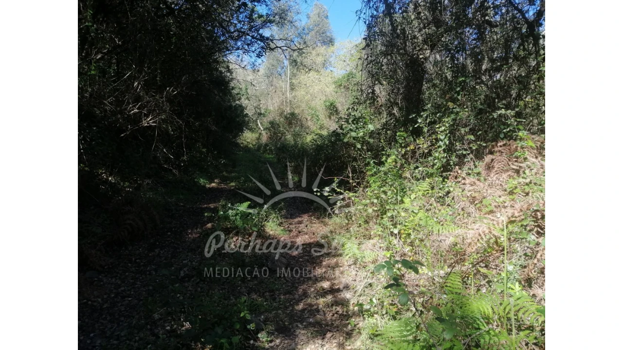Terreno Misto para Venda em Grândola e Santa Margarida da Serra Foto 22