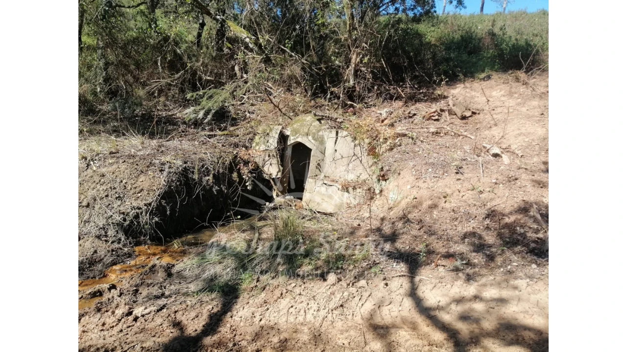 Terreno Misto para Venda em Grândola e Santa Margarida da Serra Foto 4