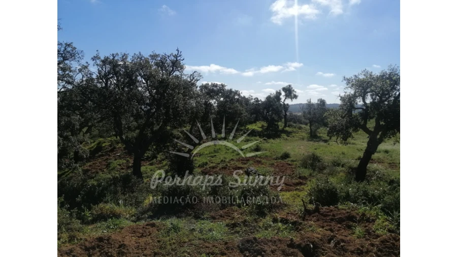 Terreno Misto para Venda em Grândola e Santa Margarida da Serra Foto 2