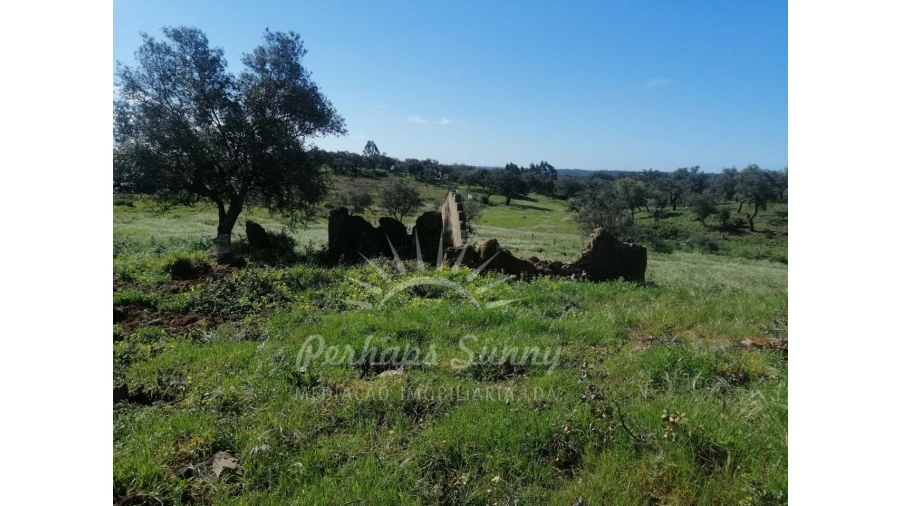 Terreno Misto para Venda em Grândola e Santa Margarida da Serra