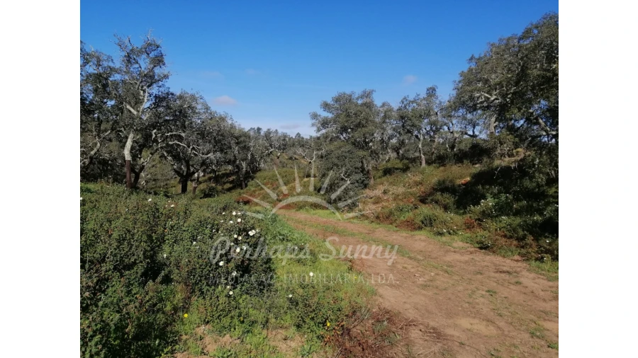 Terreno Misto para Venda em Grândola e Santa Margarida da Serra Foto 9