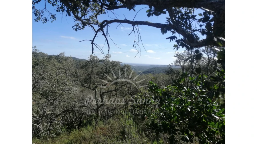 Terreno Misto para Venda em Grândola e Santa Margarida da Serra Foto 6