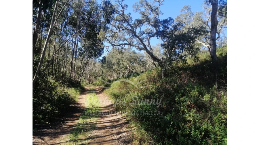 Terreno Misto para Venda em Grândola e Santa Margarida da Serra Foto 16