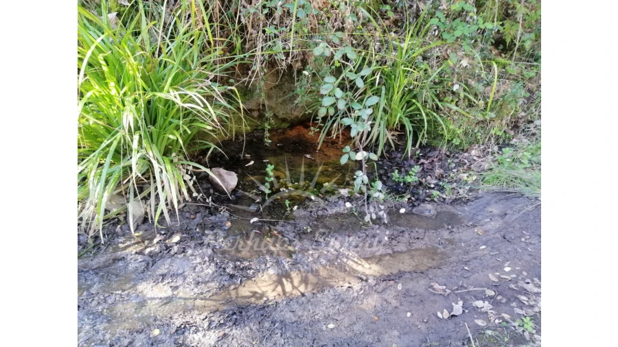 Terreno Misto para Venda em Grândola e Santa Margarida da Serra Foto 3