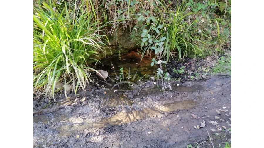 Terreno Misto para Venda em Grândola e Santa Margarida da Serra Foto 20