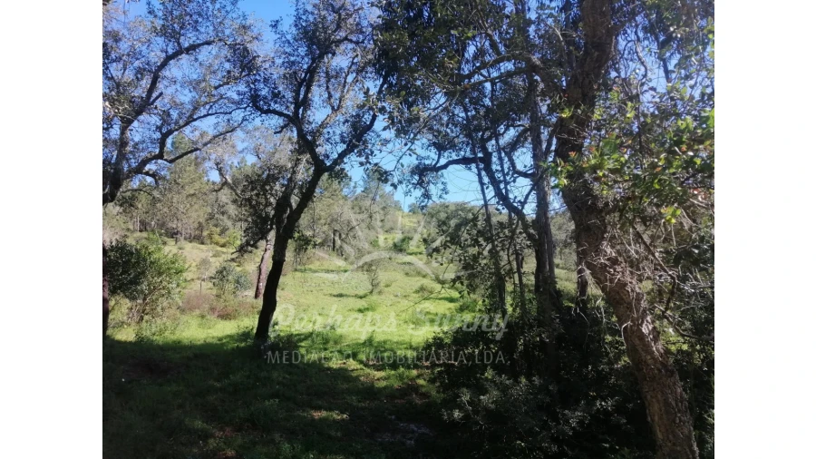 Terreno Misto para Venda em Grândola e Santa Margarida da Serra Foto 23