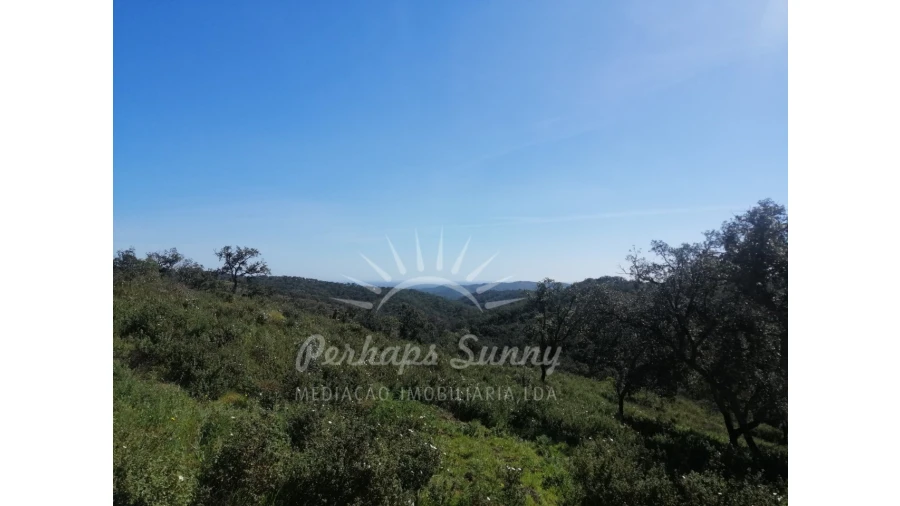 Terreno Misto para Venda em Grândola e Santa Margarida da Serra Foto 24