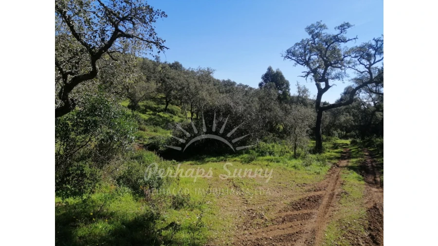 Terreno Misto para Venda em Grândola e Santa Margarida da Serra Foto 25