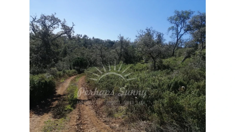 Terreno Misto para Venda em Grândola e Santa Margarida da Serra Foto 26