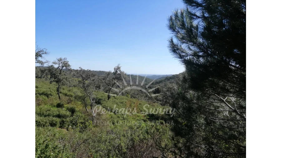 Terreno Misto para Venda em Grândola e Santa Margarida da Serra Foto 27