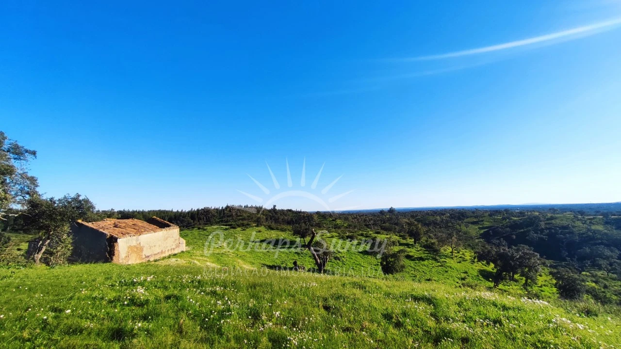 Terreno Misto para Venda em Santiago do Cacém, Santa Cruz e São Bartolomeu da Serra Foto 6