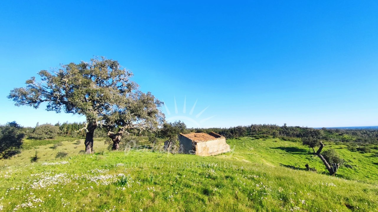 Terreno Misto para Venda em Santiago do Cacém, Santa Cruz e São Bartolomeu da Serra Foto 15