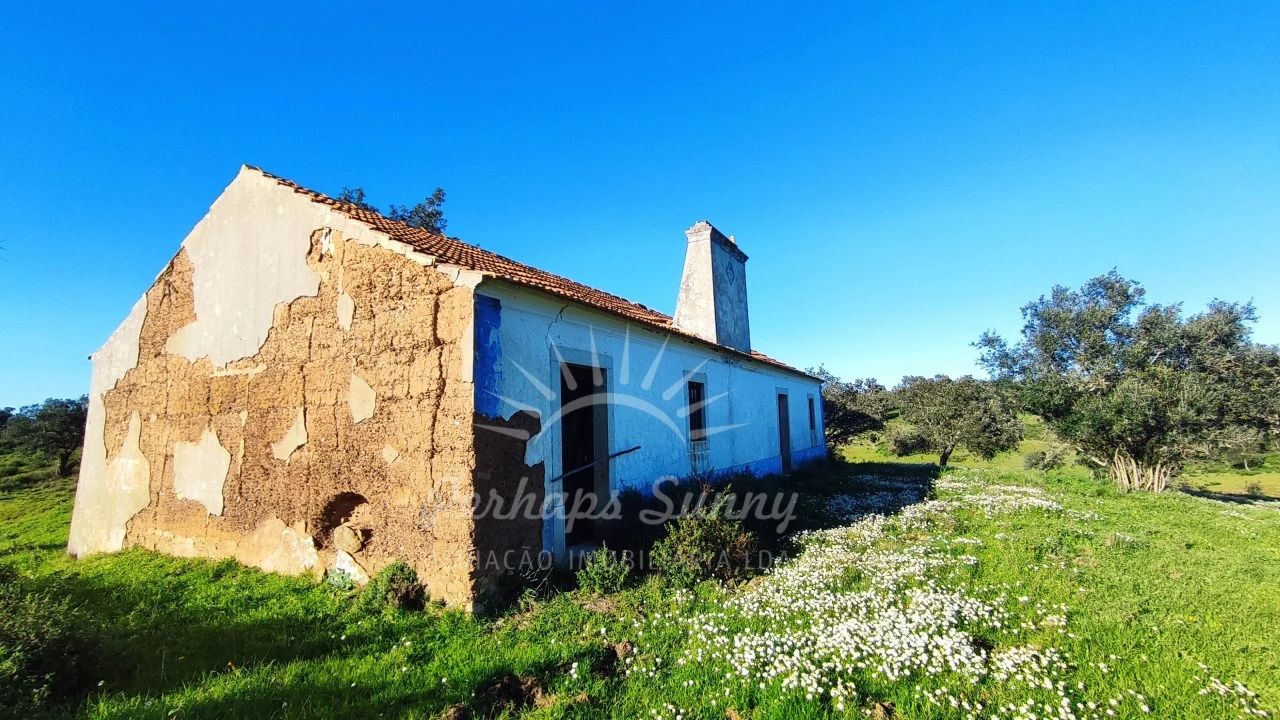 Terreno Misto para Venda em Santiago do Cacém, Santa Cruz e São Bartolomeu da Serra Foto 8