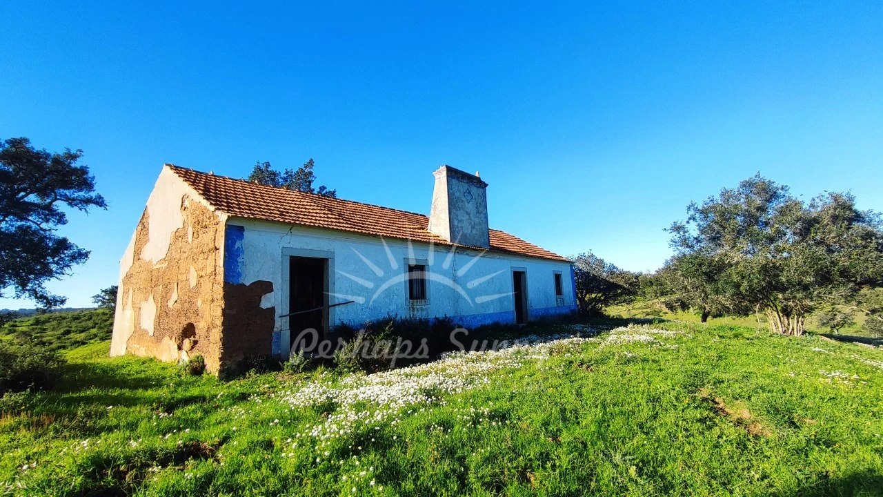 Terreno Misto para Venda em Santiago do Cacém, Santa Cruz e São Bartolomeu da Serra Foto 4