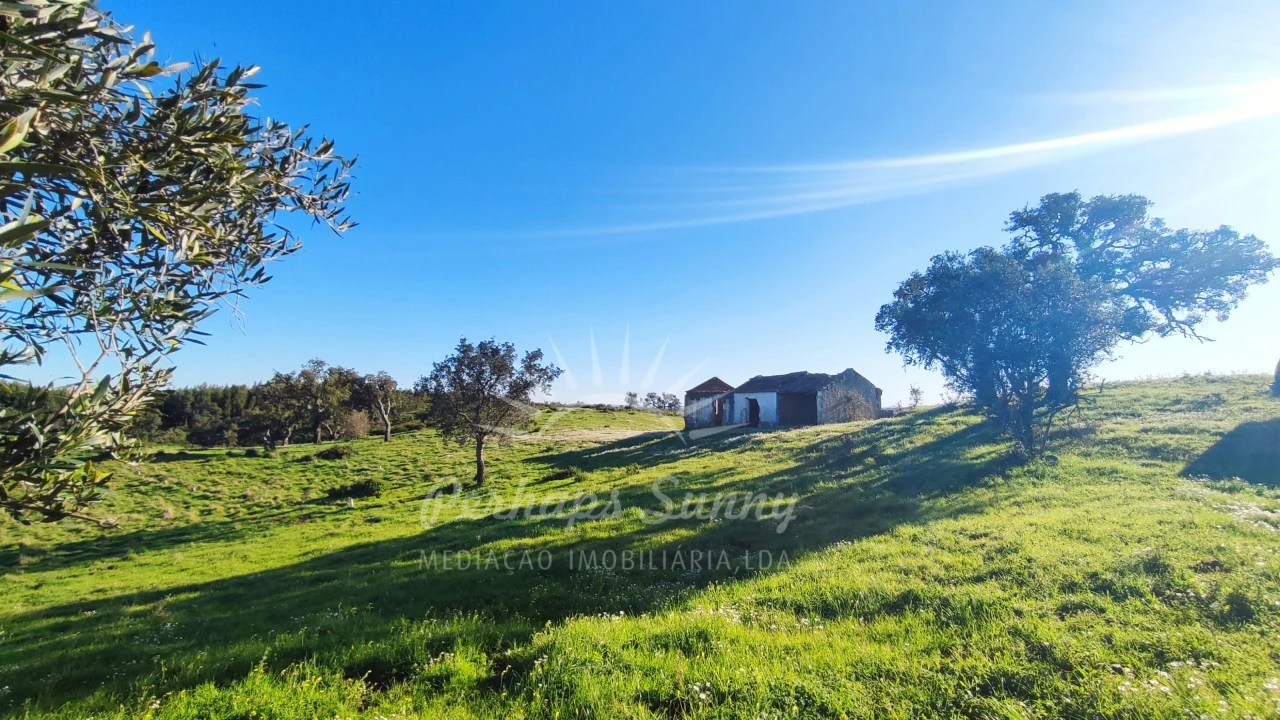 Terreno Misto para Venda em Santiago do Cacém, Santa Cruz e São Bartolomeu da Serra Foto 5