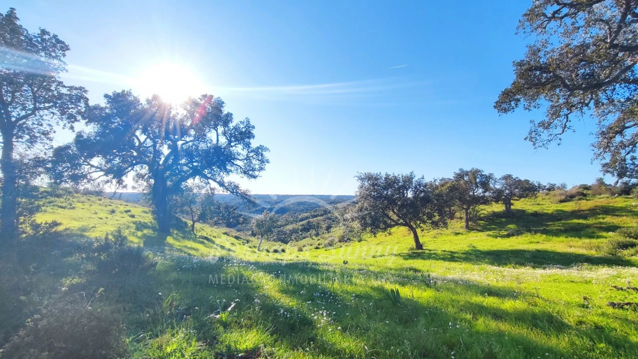Terreno Misto para Venda em Santiago do Cacém, Santa Cruz e São Bartolomeu da Serra Foto 10