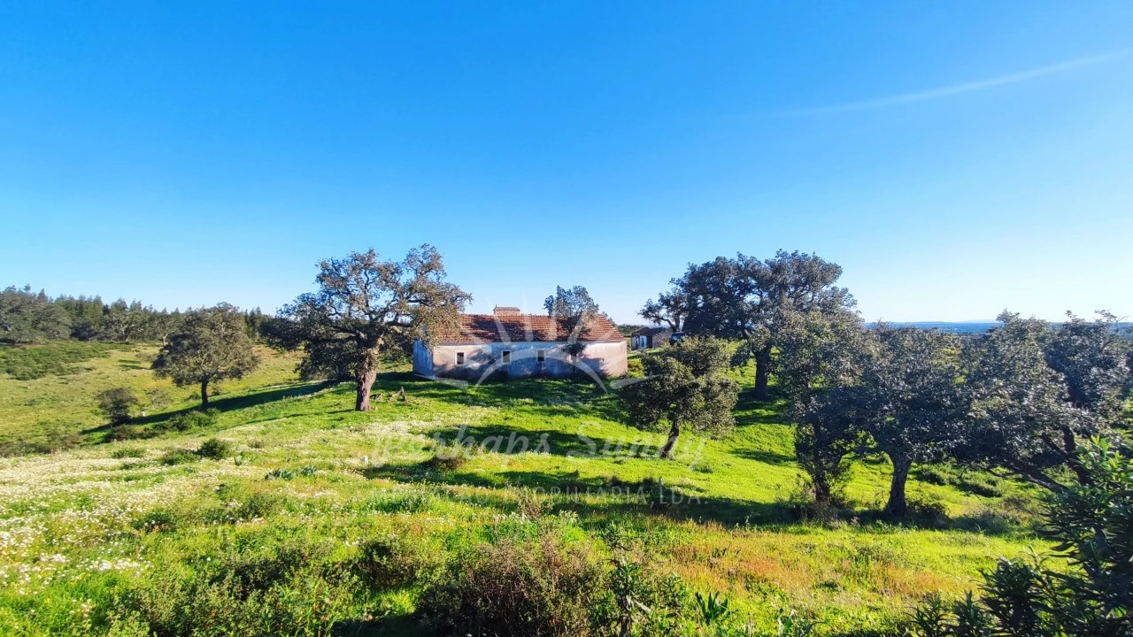 Terreno Misto para Venda em Santiago do Cacém, Santa Cruz e São Bartolomeu da Serra Foto 11