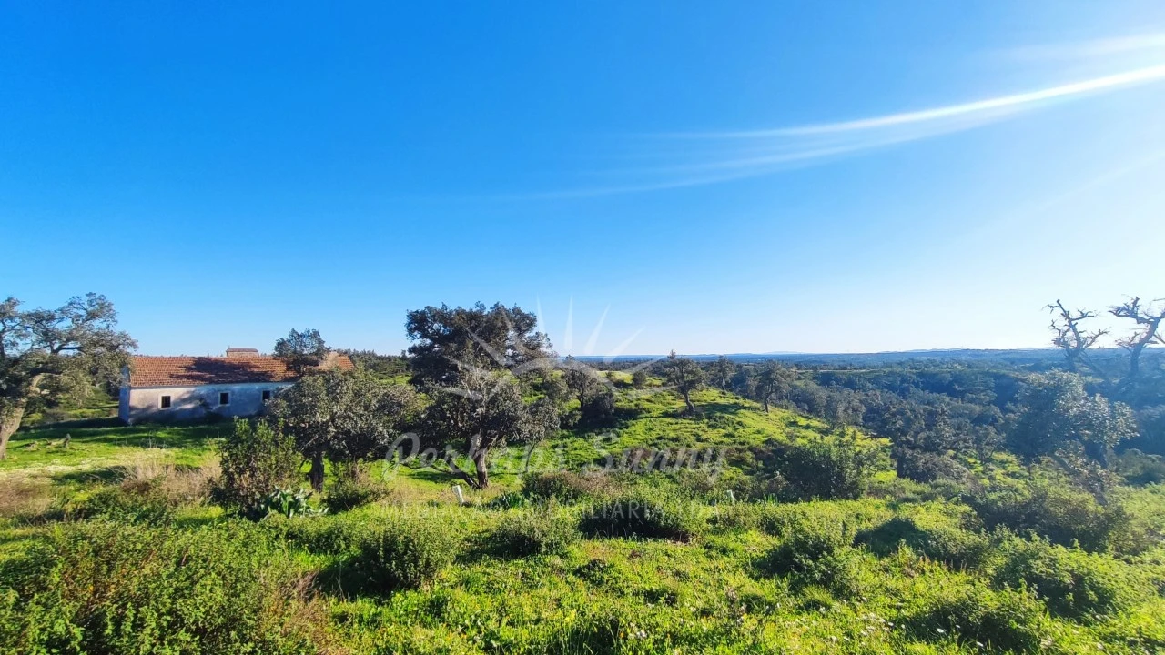 Terreno Misto para Venda em Santiago do Cacém, Santa Cruz e São Bartolomeu da Serra Foto 13