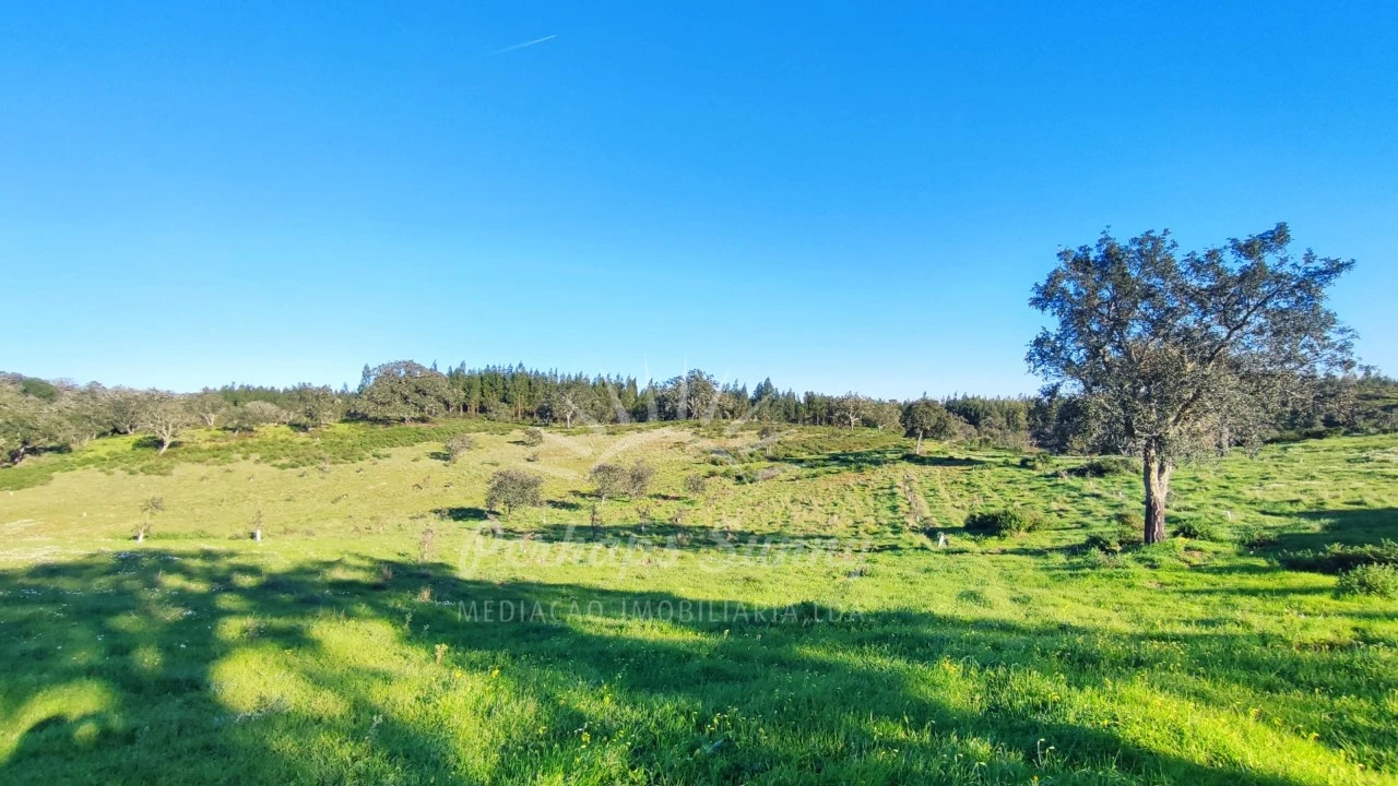 Terreno Misto para Venda em Santiago do Cacém, Santa Cruz e São Bartolomeu da Serra Foto 20