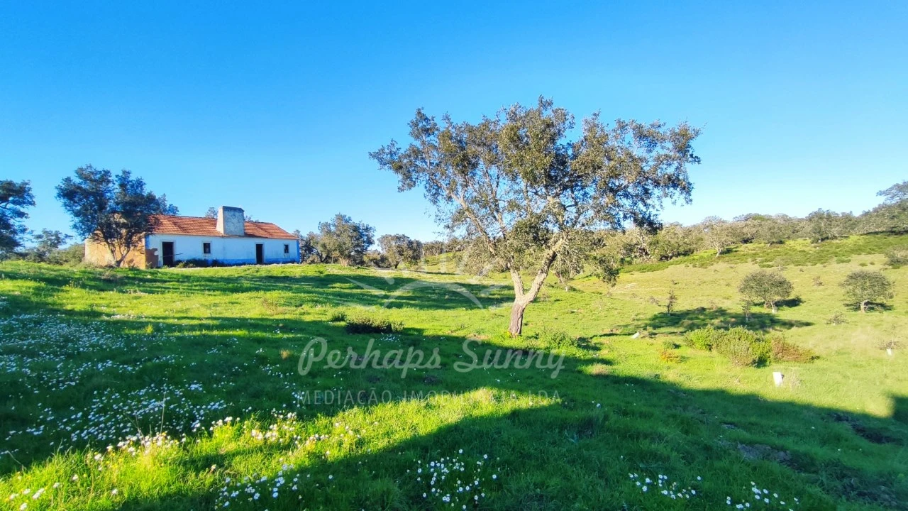 Terreno Misto para Venda em Santiago do Cacém, Santa Cruz e São Bartolomeu da Serra Foto 1