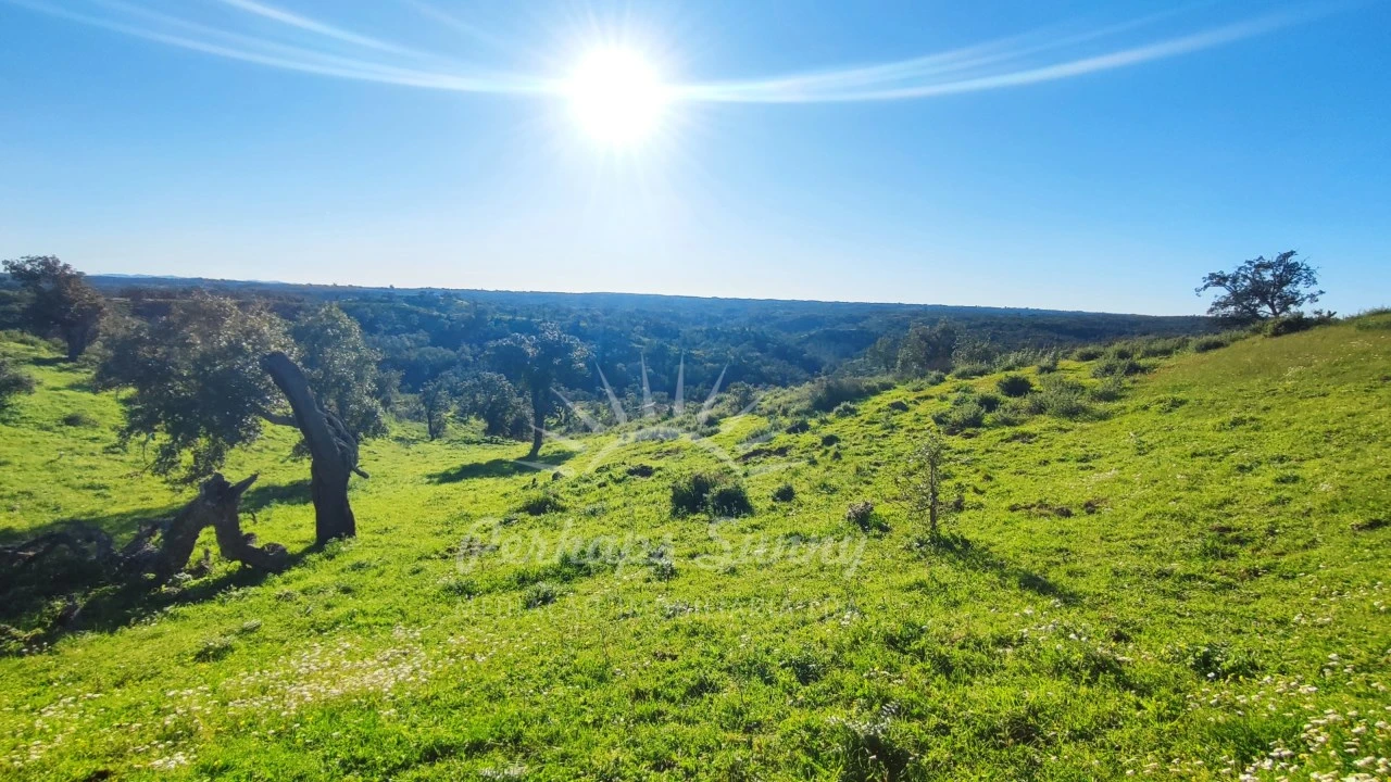 Terreno Misto para Venda em Santiago do Cacém, Santa Cruz e São Bartolomeu da Serra Foto 21