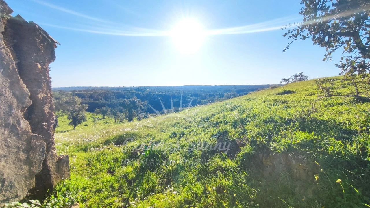 Terreno Misto para Venda em Santiago do Cacém, Santa Cruz e São Bartolomeu da Serra Foto 22