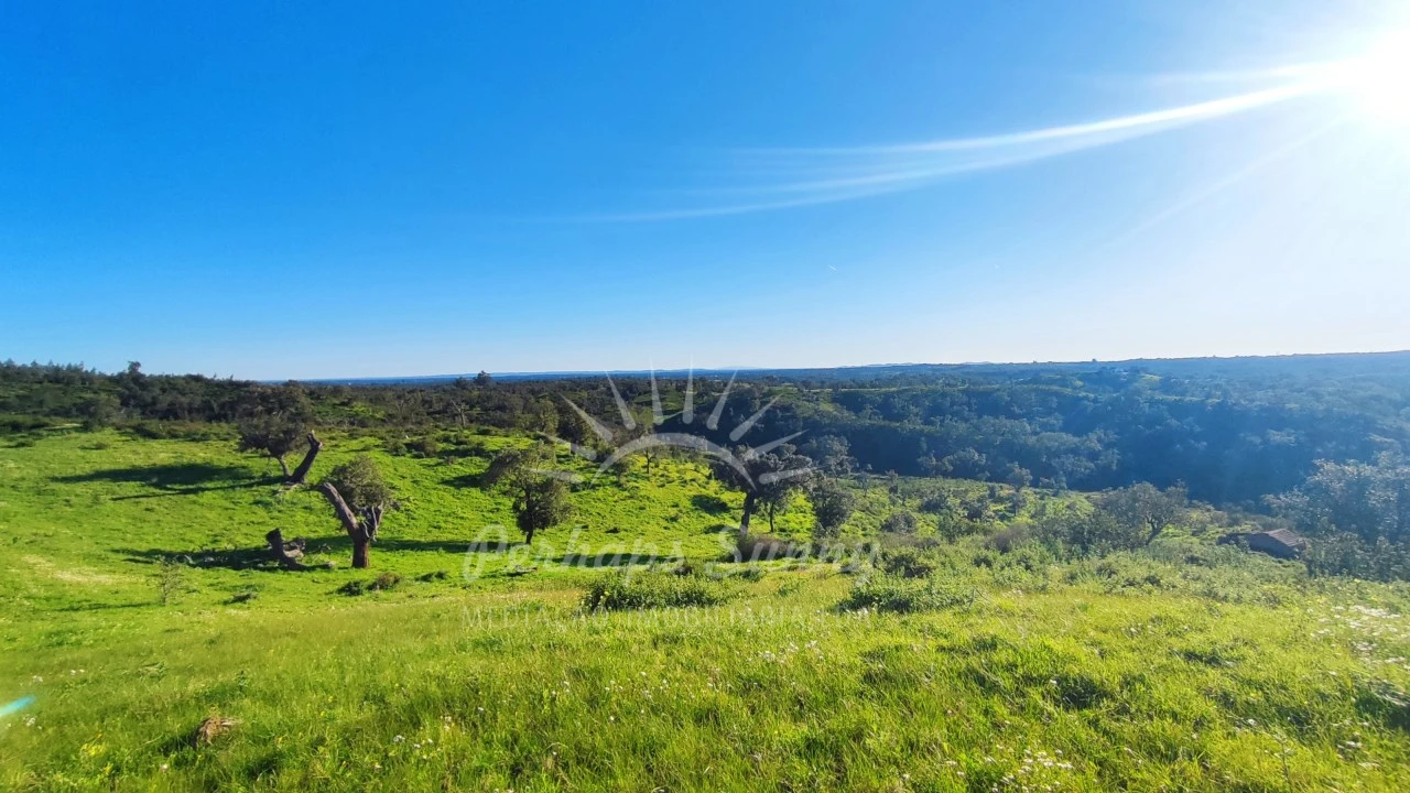 Terreno Misto para Venda em Santiago do Cacém, Santa Cruz e São Bartolomeu da Serra Foto 24