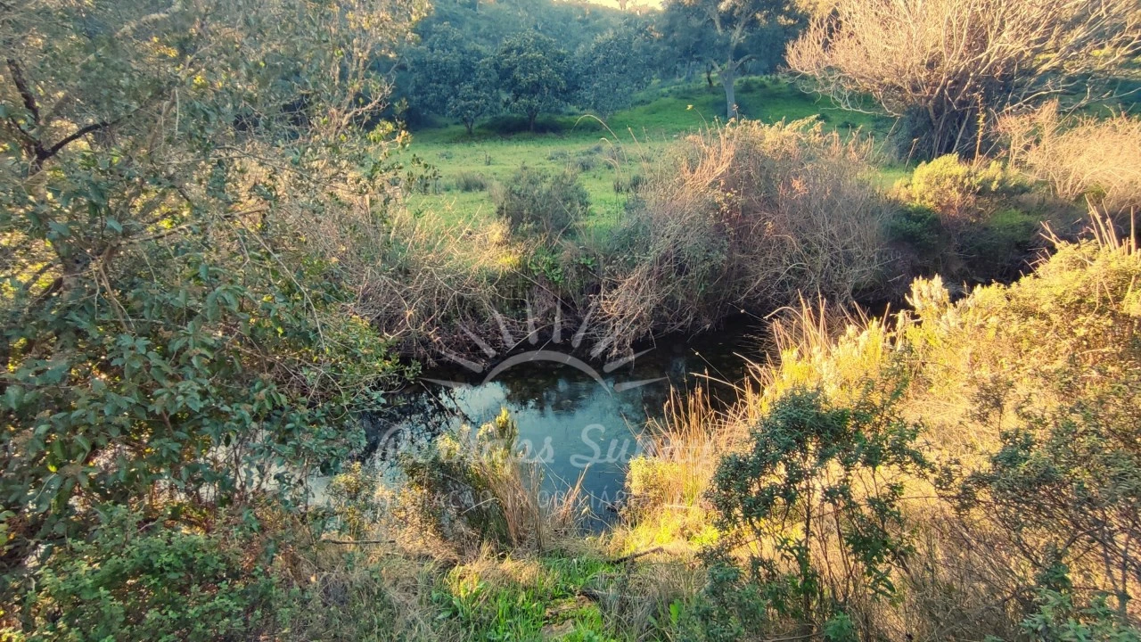 Terreno Misto para Venda em Santiago do Cacém, Santa Cruz e São Bartolomeu da Serra Foto 25