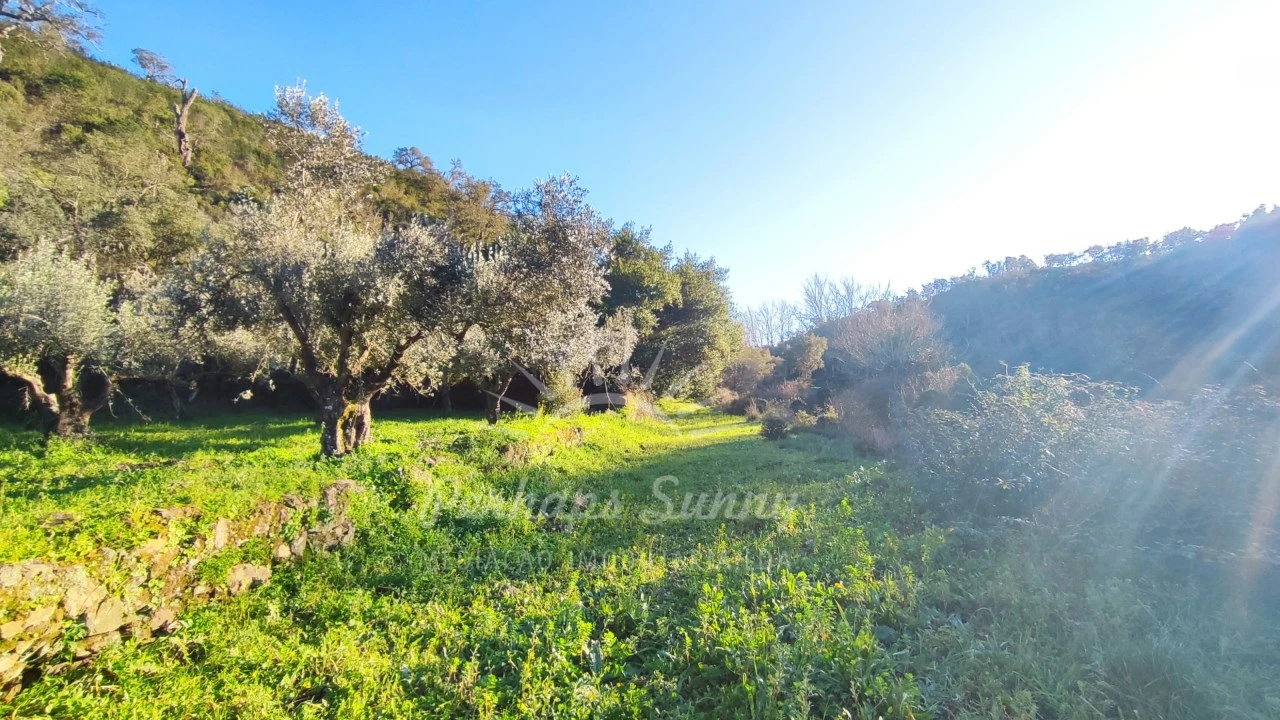 Terreno Misto para Venda em Santiago do Cacém, Santa Cruz e São Bartolomeu da Serra Foto 27