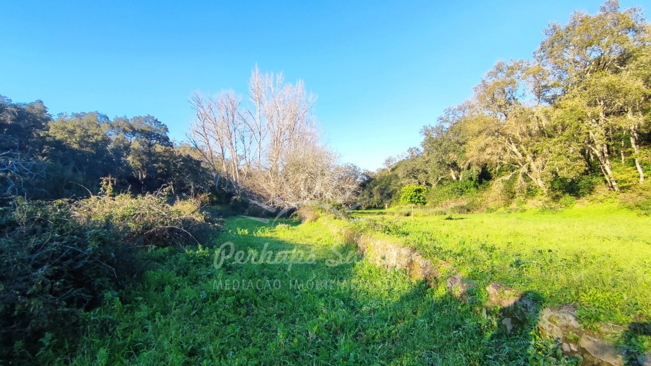 Terreno Misto para Venda em Santiago do Cacém, Santa Cruz e São Bartolomeu da Serra Foto 28