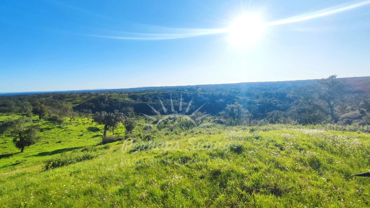 Terreno Misto para Venda em Santiago do Cacém, Santa Cruz e São Bartolomeu da Serra Foto 32