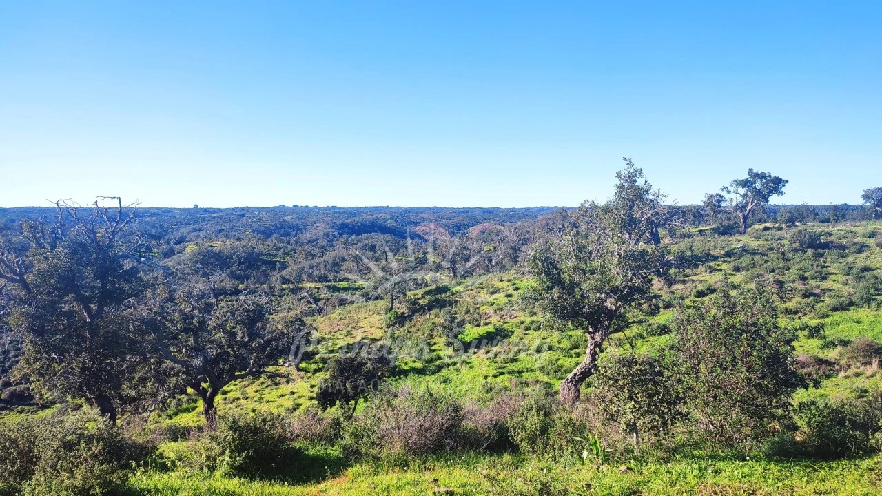 Terreno Misto para Venda em Santiago do Cacém, Santa Cruz e São Bartolomeu da Serra Foto 33