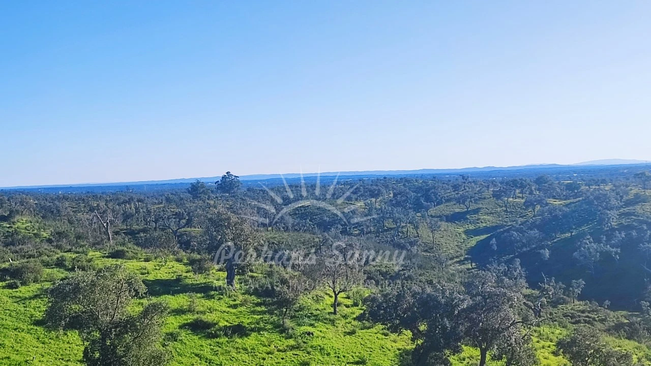 Terreno Misto para Venda em Santiago do Cacém, Santa Cruz e São Bartolomeu da Serra Foto 30