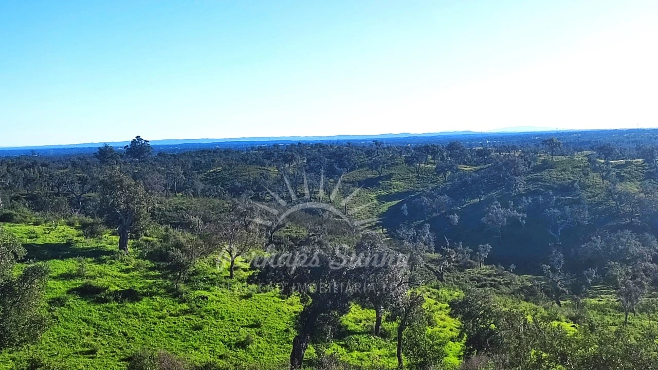 Terreno Misto para Venda em Santiago do Cacém, Santa Cruz e São Bartolomeu da Serra Foto 36