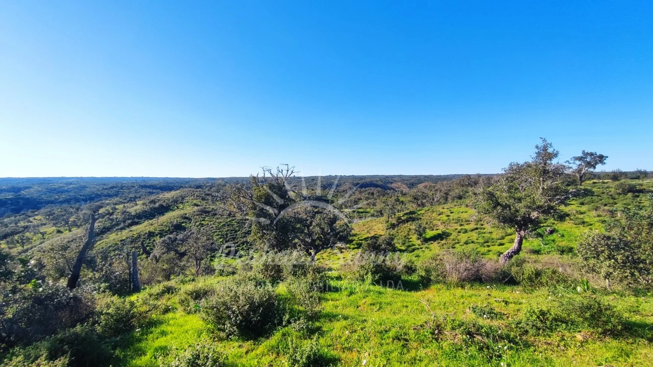 Terreno Misto para Venda em Santiago do Cacém, Santa Cruz e São Bartolomeu da Serra Foto 37